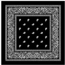 Paisley Bandana